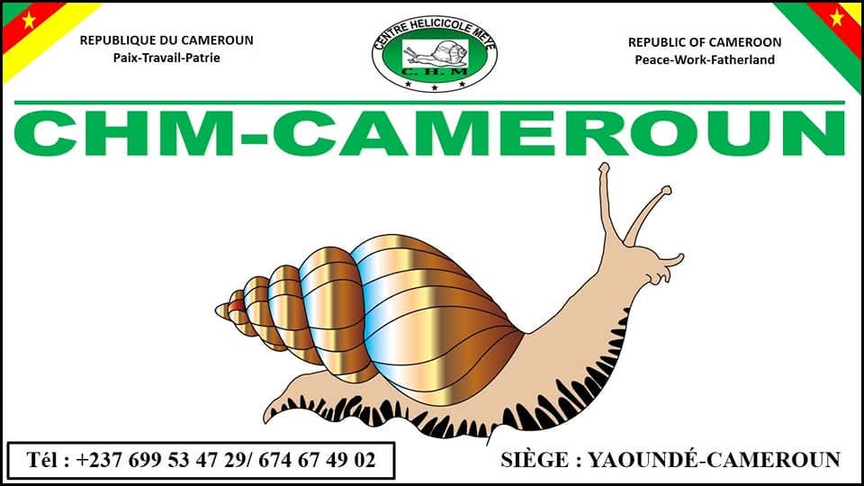 CHM-Cameroun
